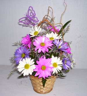Mixed Daisy Basket - Sweet Lily's